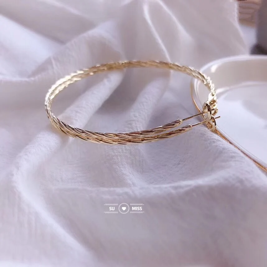 Free Shipping Gold Silver Color Round Hoop Earrings For Women Big Circle Loop Earring Twisted Geometric Earings Metal Jewellery | Украшения