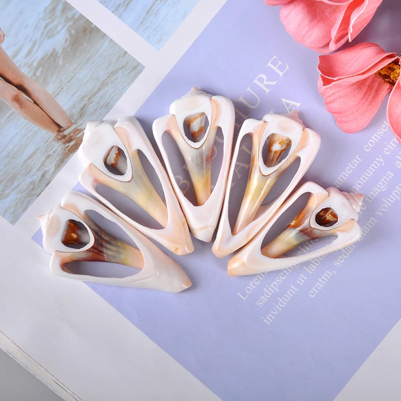 5 шт. небольшой объем вырезом пляжный морских раковин Натуральный раковину