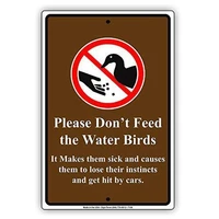 please dont feed the water birds it makes them sick street tin sign art wall decorationvintage aluminum retro metal sign