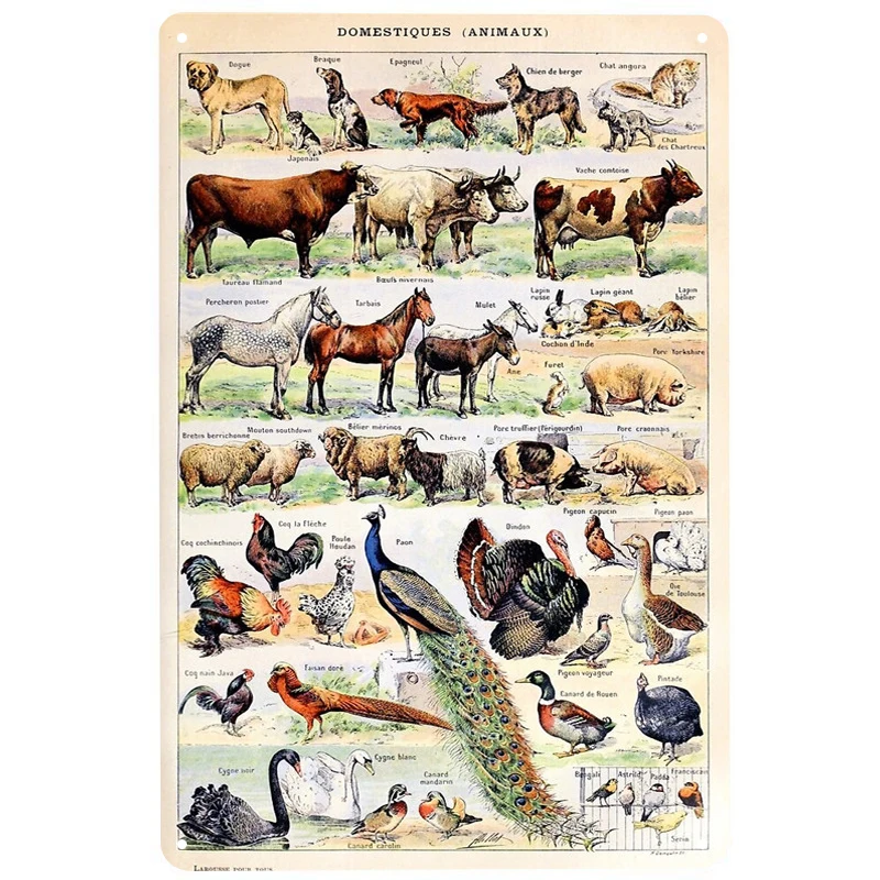 

French Animaux printed Vintage Metal Signs Retro Tin Signs Funny Poster Decor for Bar Pub Club Decoration for Living Room Home