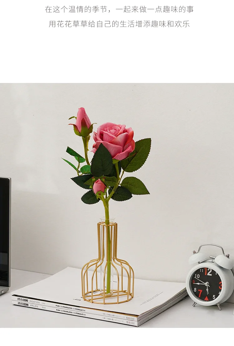 

Nordic ins wrought iron gold hydroponics vase ornaments living room table desktop decoration dried flowers with green radish