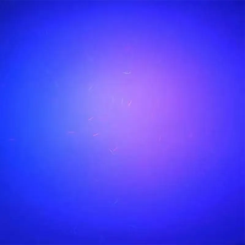 100 штук, 75gsm бумага 75 хлопок 25 Лен с невидимым красным и синее волокно, A4 размер(210*297 мм