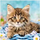 Алмазная вышивка 5D сделай сам, полноразмерная мозаика с изображением животных, ручной работы, Набор для вышивки крестиком, картина для домашнего декора, стразы