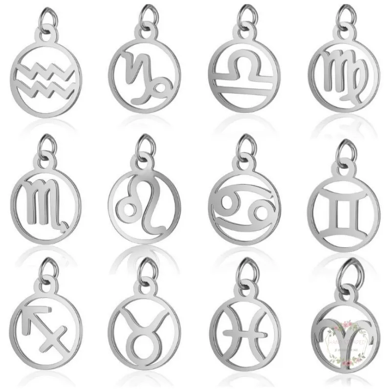 

10PCS Silver Stainless Steel Zodiac Signs Charms Pendant For Alex Bangle Necklace