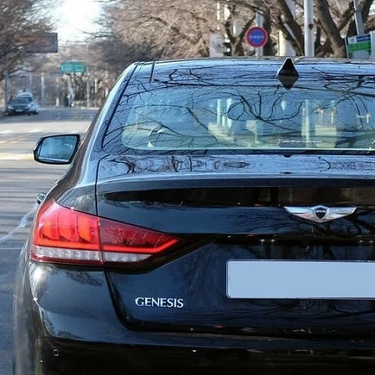 Передняя+ Задняя эмблема логотип капот багажная крышка табличка 86320B1000, 86330B1000 2EA для hyundai+ New GENESIS