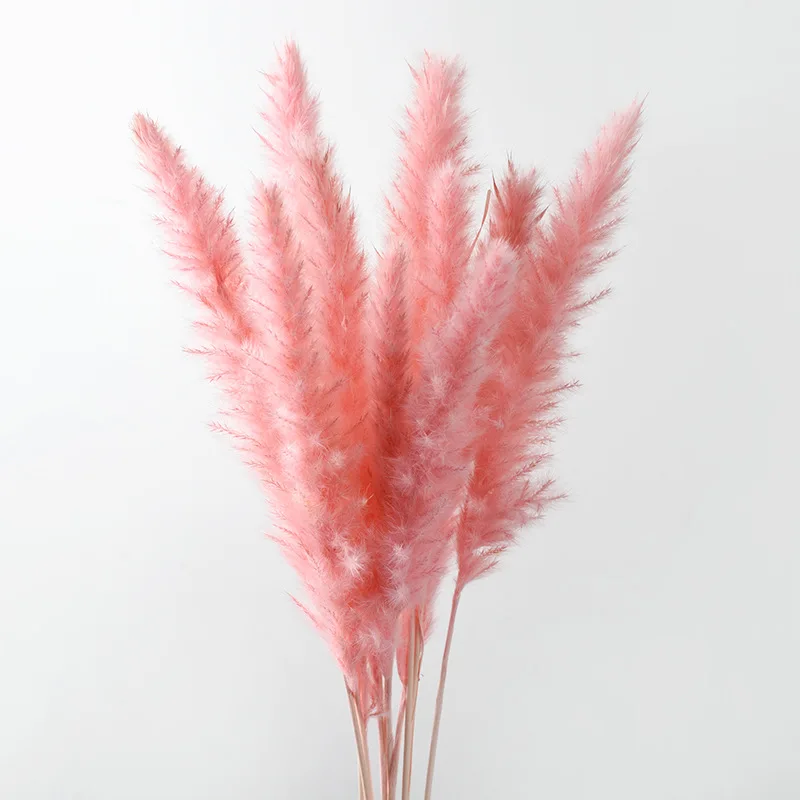 

10PCS Bulrush Natural Dried Flowers Artificial Plants Branch Pampas Grass Phragmites Fake Flower Bouquet for Home Wedding Decor