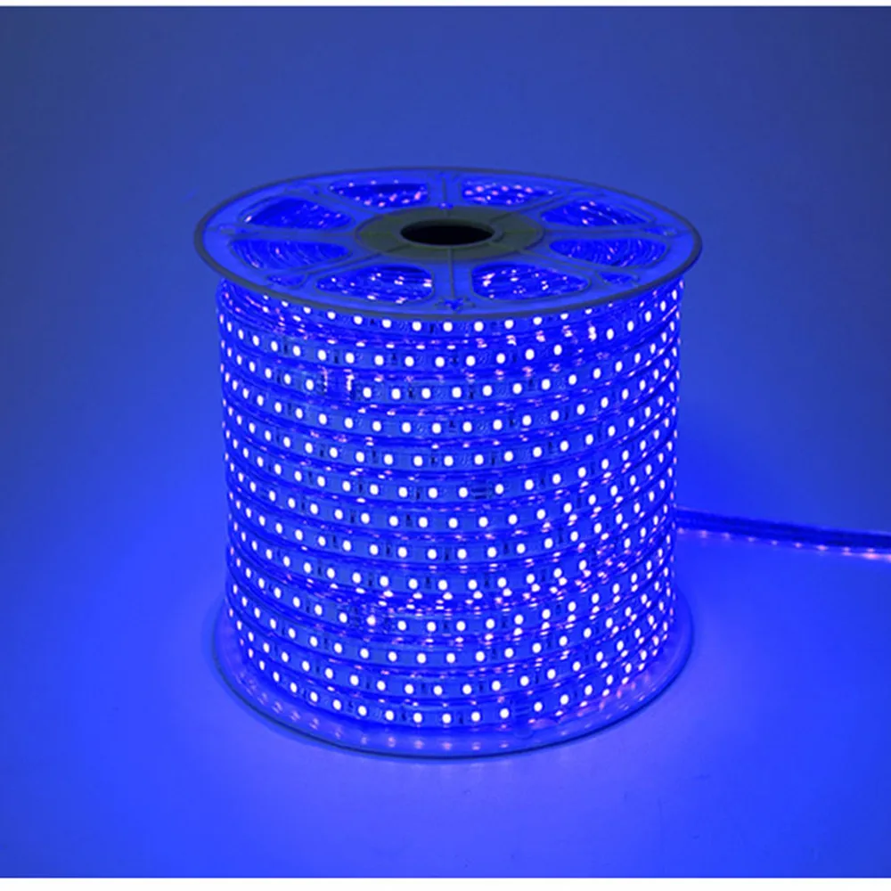 220V Светодиодные ленты светильник RGB SMD 5050 лента с помощью приложения на телефоне и дистанционное управление Водонепроницаемый гибкий неоновый светодиодный светильник s на открытом воздухе украшения комнаты лампа