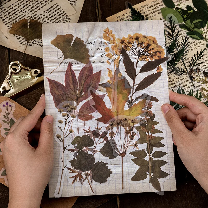 

10 Pcs PET Botanical Sticker Specimens Art Plant Transparent Fall Decorative Paper Planner Stickers Korean Stationery