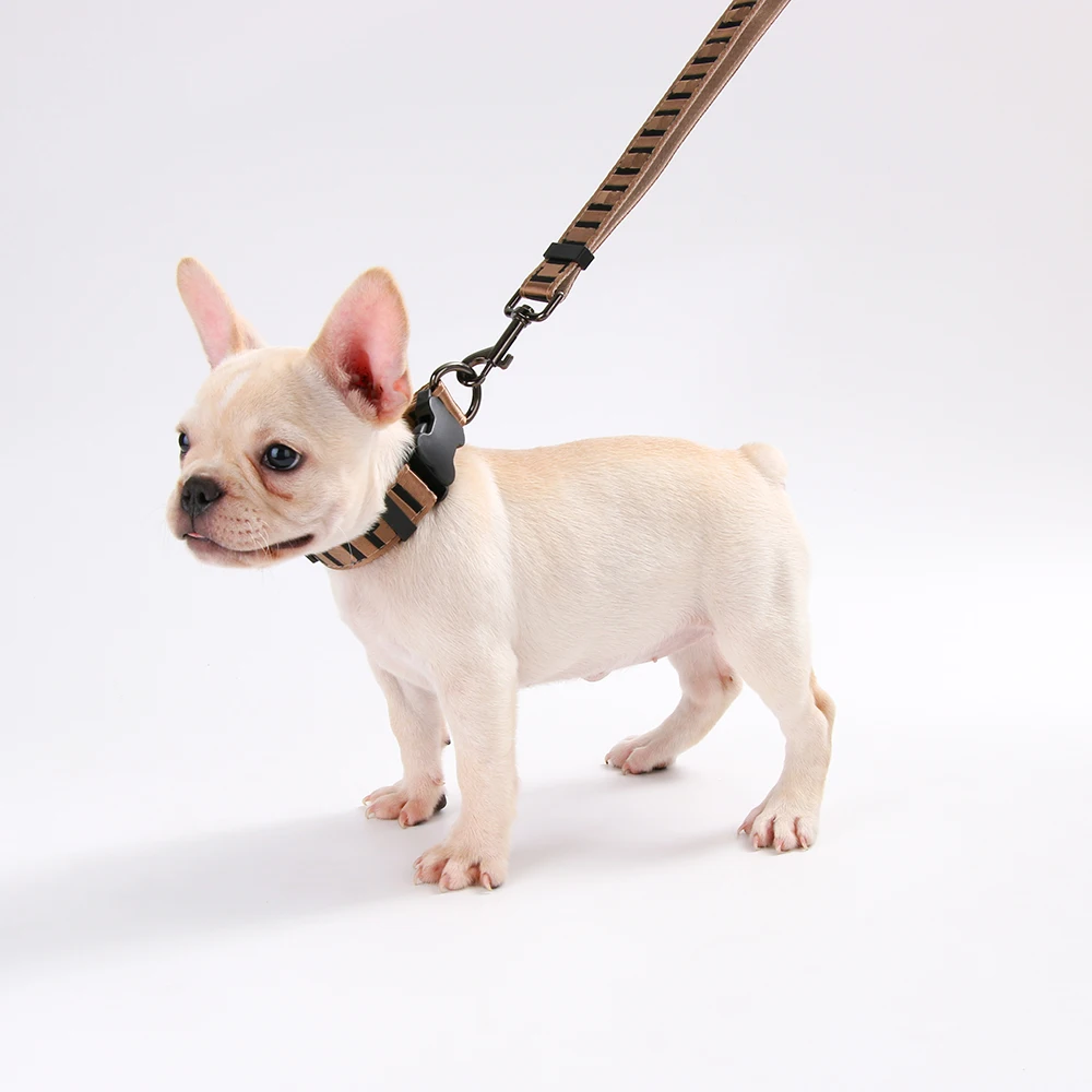 

Dog Leash Collars Harness French Bulldog, Corgi, Pet Chest Strap, Luxury Dog Supplies, Pet Accessories Harness Fashion