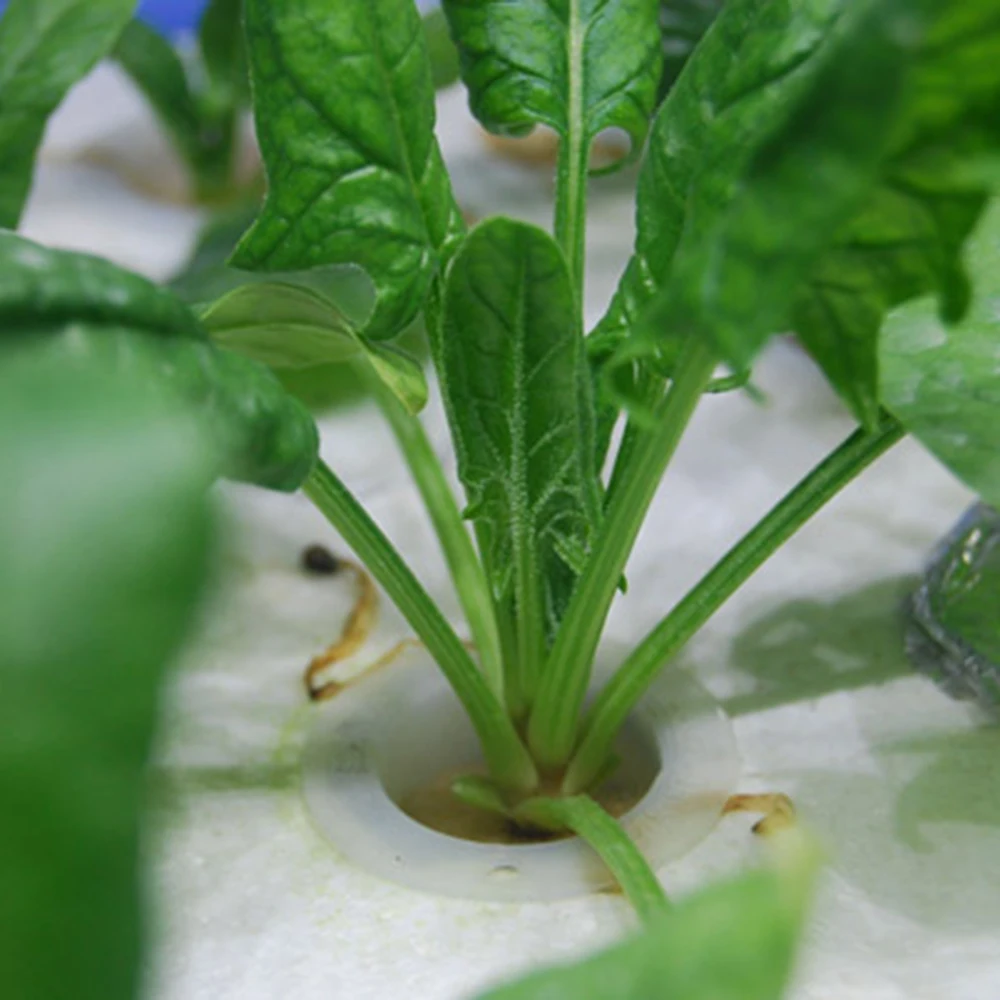 10 шт. сетчатый горшок чистая чашка корзина + губка гидропоники аэрофонное