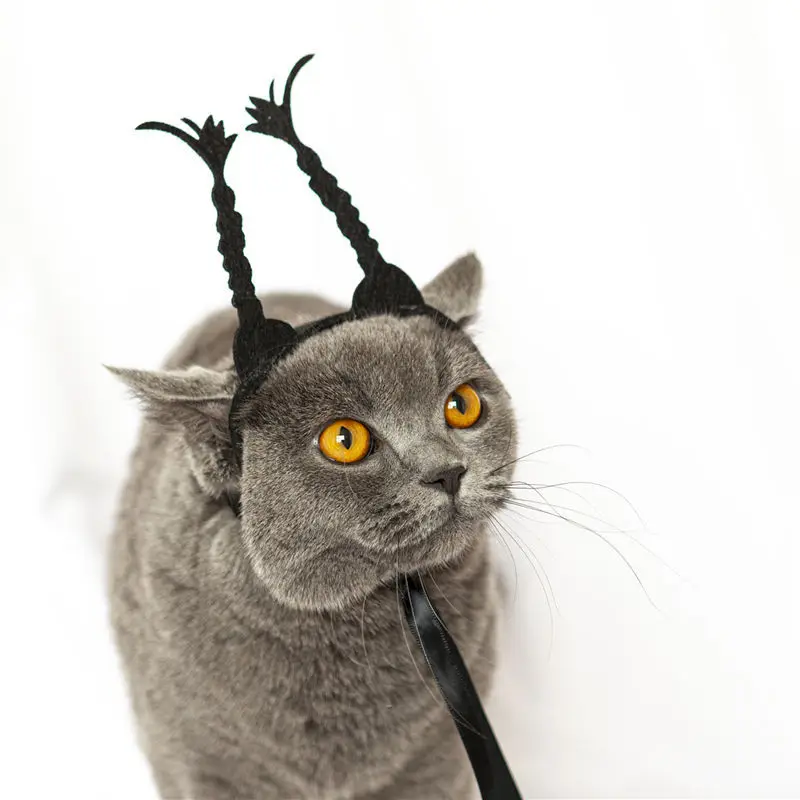 

Cute Pet Dog Cat Photo Funny Prop Party Supplies Decoration Hat Headdress Available In Four Seasons