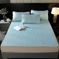 Summer Cool Latex Queen Bed Sheet Mattress Cover Top Hat Cushion Sleeping Mattress Brand New
