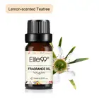 Эфирные масла Elite99 для увлажнителя воздуха, свечей, мыла, пионов и румян, 10 мл