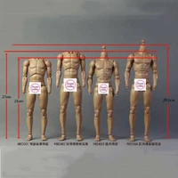 25cm27cm bd001bd002bd003bd004 16 male standard muscle body for 12 action figure model