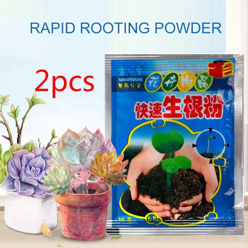 2 * Цветочные семечки бонсай семена растений помощь для роста гормон регулятор