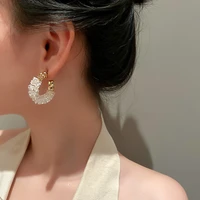 925 silver needle jewelry with fashion personality crystal winding c shaped earrings temperament earrings for women wholesale