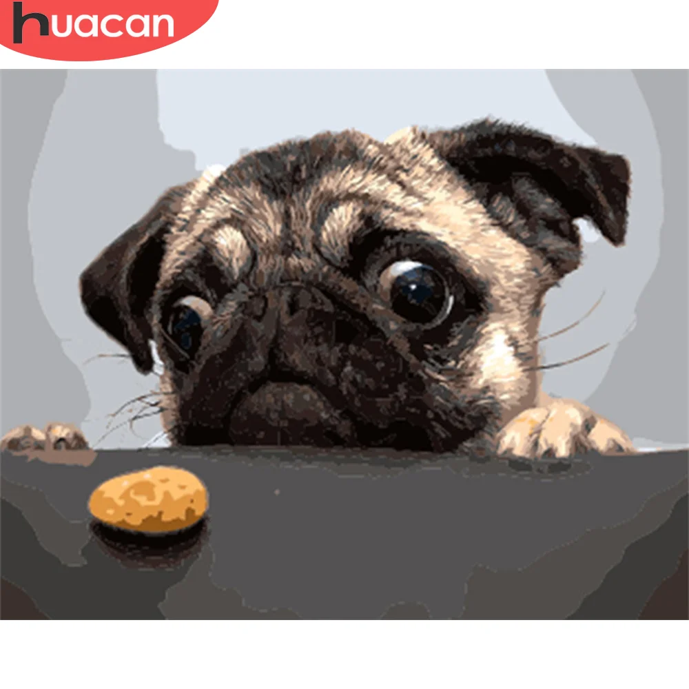 

HUACAN живопись по номерам собака DIY фотографии по номерам наборы животных рисование на холсте Ручная роспись картины искусство подарок домаш...