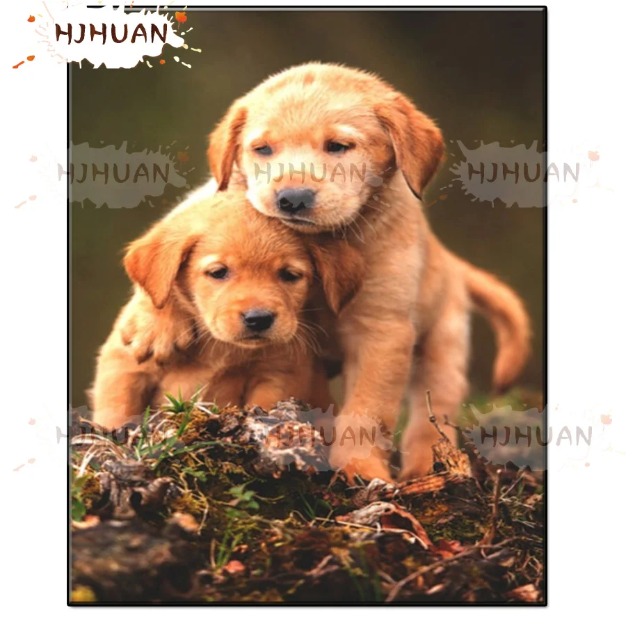 

5D две прекрасные золотые извлекатели, алмазная живопись, вышивка крестиком, алмазная вышивка, полноразмерная картина стразы, домашний деко...