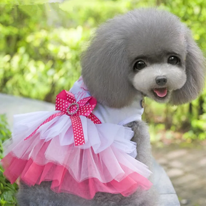 Одежда для домашних животных котов маленьких собак милое платье принцессы