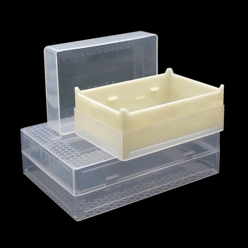 Herramientas de apicultura de 5 piezas, Cassette de miel de plástico transparente, nido de miel, caja de nido extraíble, limpio y sanitario, 250g/500g