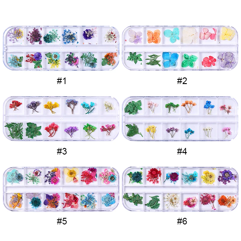 12 сеток/коробка высушенные цветы 3D украшения для дизайна ногтей Милые Лепестки