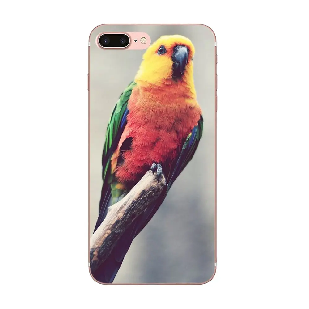Мягкий чехол для птиц Macaws фиолетовая сова стиль huawei Honor mate 7 7A 8 9 10 20 V8 V9 V10 G Lite Play Mini