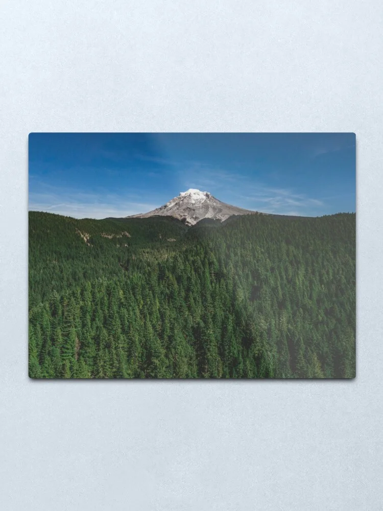 

cool image Metal Print Tin Sign Vintage Metal Wall Sign Plaque Retro Garage Shed Car