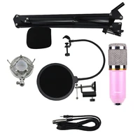 studio condenser microphone bundle with pop filterscissor arm standshock mount bm 800 pink