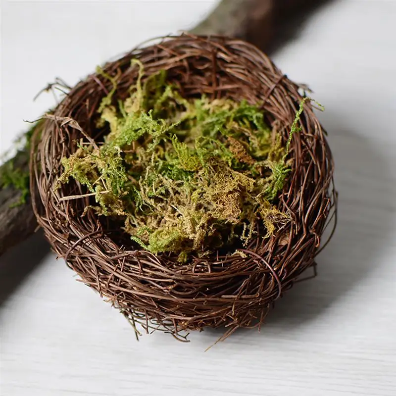 Сухой лесной мох 1 упаковка многоцелевой натуральный растительный