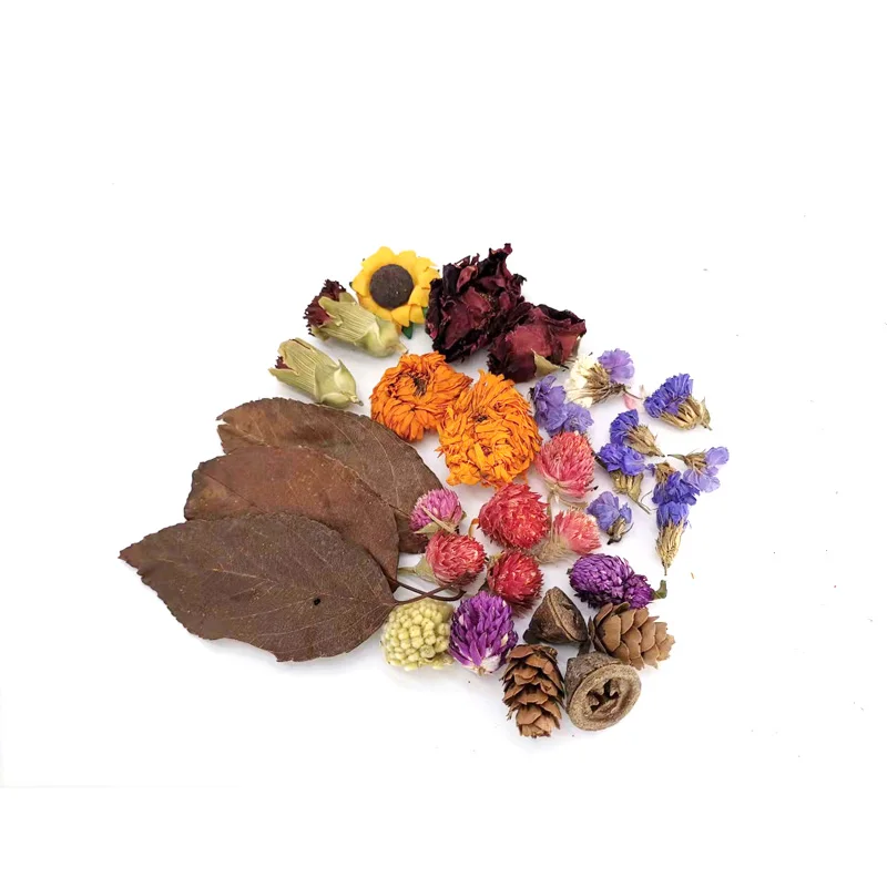 

Natural dried flowers Plants Photography Props Larch Background Accessories for Photo Studio Home Decoration 20g/bag