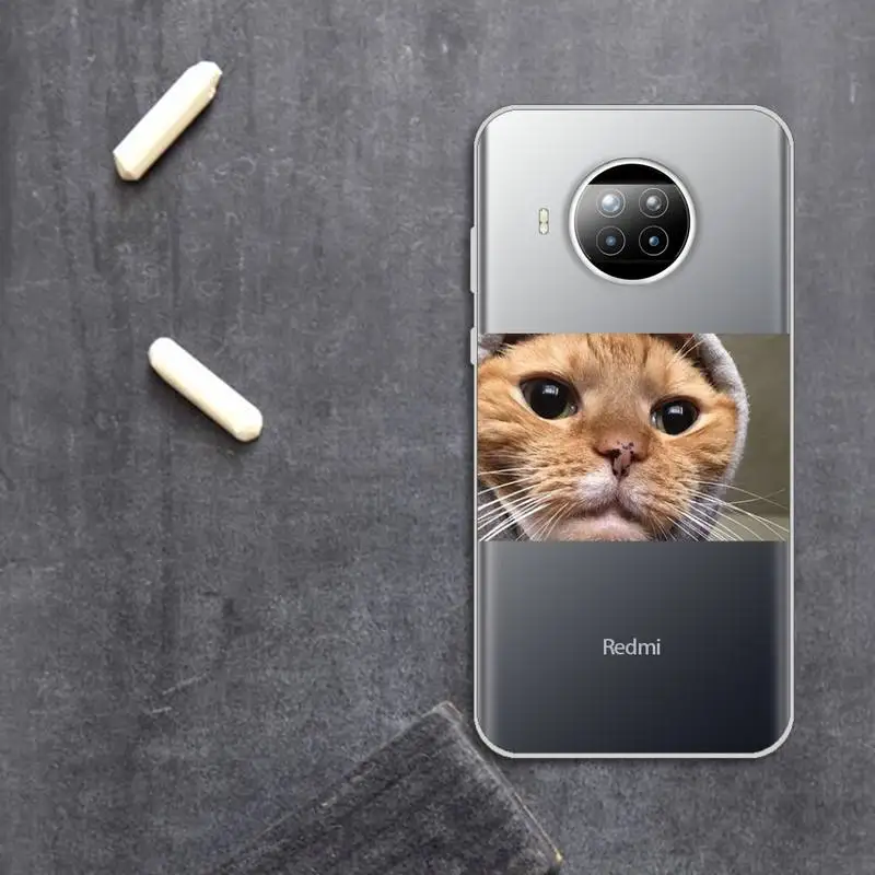 

Cute animal cat dog cartoon Phone Case Transparent for Xiaomi Redmi note 10 t 8 9 pro lite 11