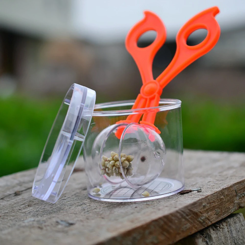 2Pcs/Set Bug Insect Catcher Scissors Tongs Tweezers Clamp Cleaning Tool Kids Toy For Children Handy | Игрушки и хобби
