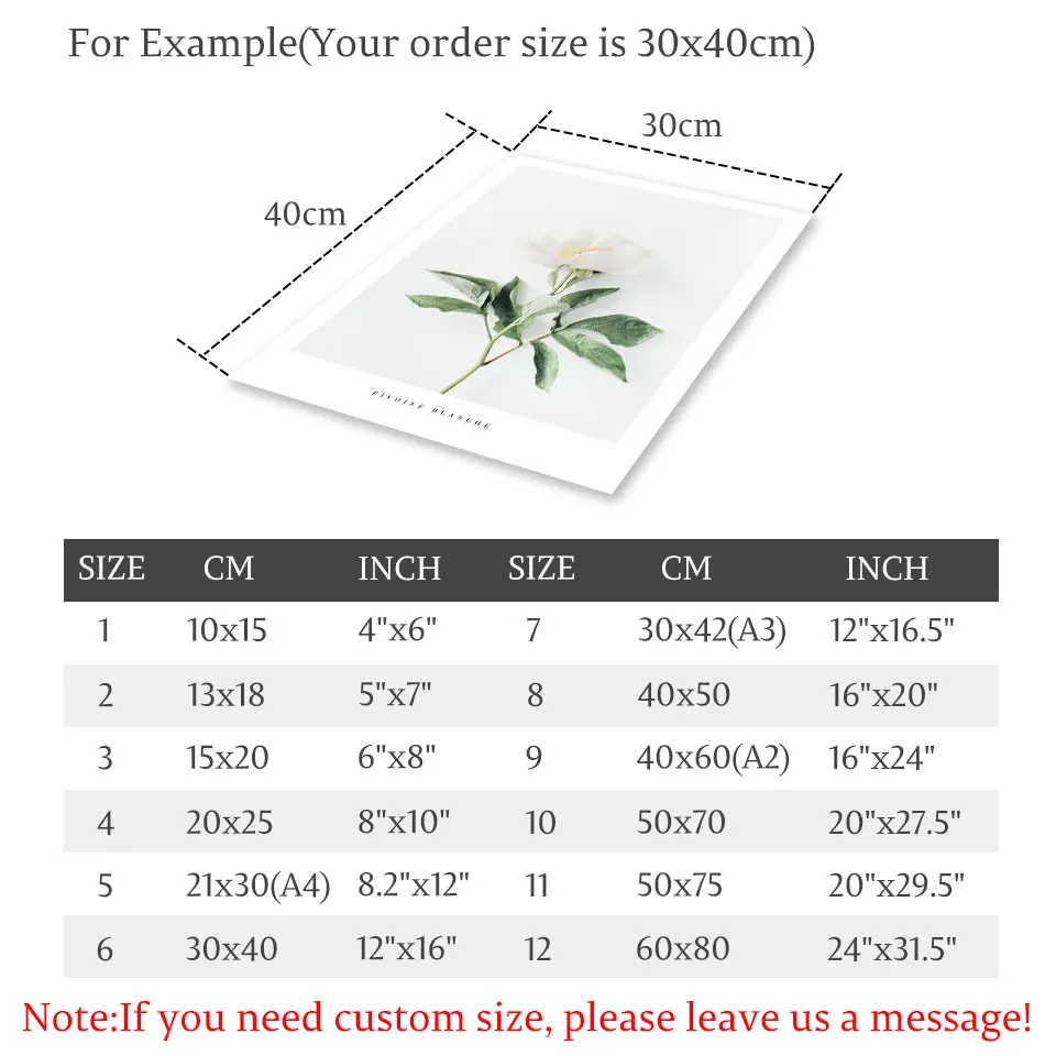 Скандинавские цветы плакат пейзаж настенная живопись природа холст