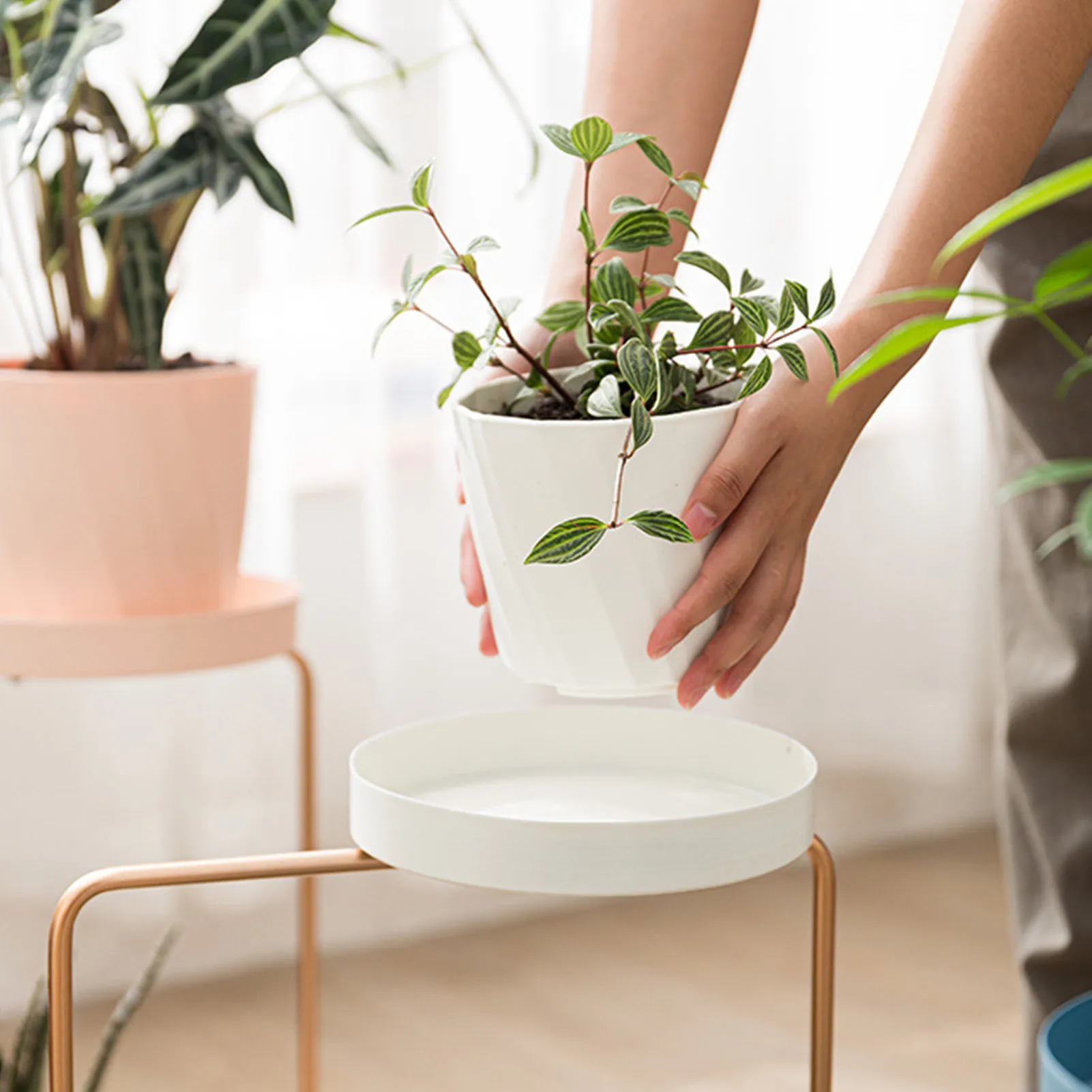 

Double Layer Iron Flowerpot Rack Floor Type Flowerpot Rack Living Room Kitchen Plant Scaffold Simple Indoor Outdoor Flower Rack