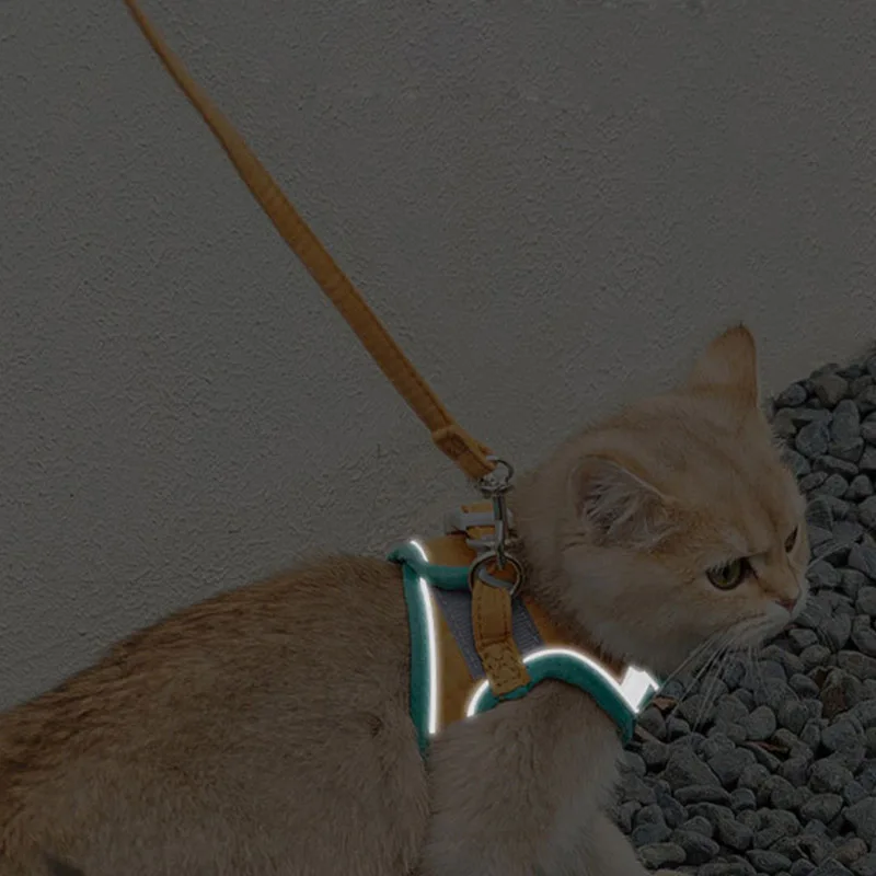 Комплект из жилета и ошейника с регулируемым поводком S-3XL | Дом сад