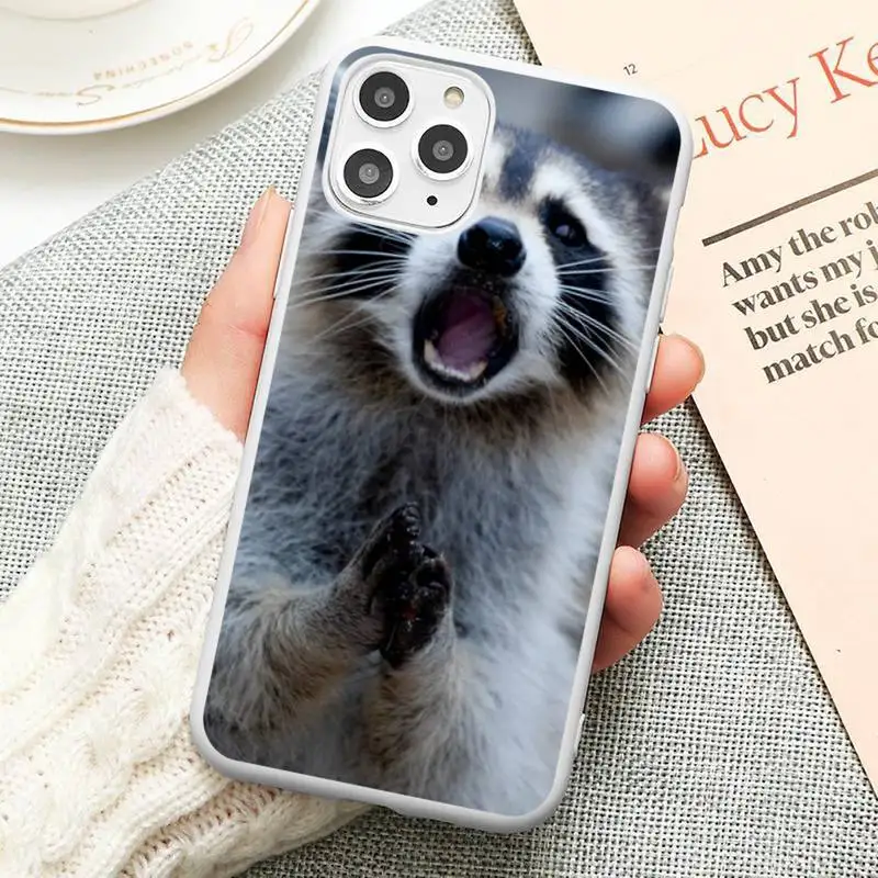 

cute lovely Animal Raccoon Fox Phone Case Candy Color for iPhone 6 6S 7 8 11 12 XS X SE 2020 XR mini pro Plus MAX funda