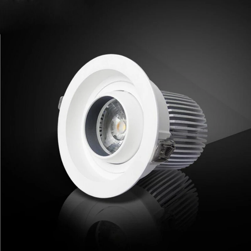 

10pcs/lot Round Led Downlight Double Warm White Cold White 12W 15W 20W COB LED Down Light, Embedded Cattle Eye Lamp AC90-265V
