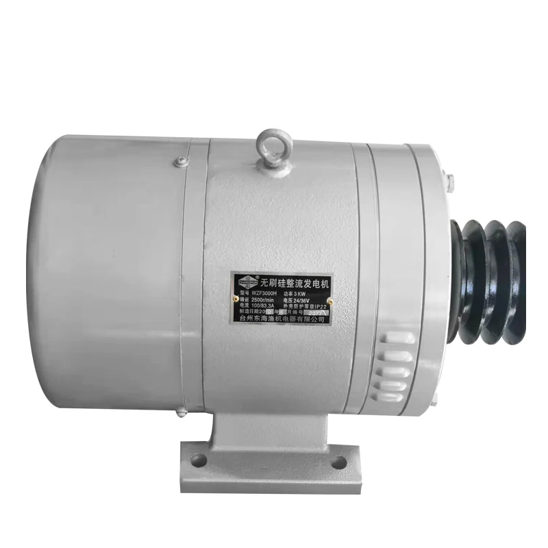 Морской кремния устранены генератор постоянного тока 2000W3000W поддерживая