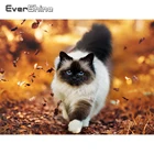 EverShine 5D алмазная вышивка Кот полная выкладка алмазная мозаика животное картины стразами декор для дома