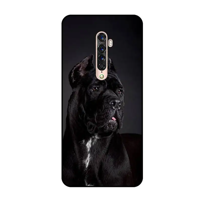 Motirunner питбуль прекрасная собака защитный чехол для телефона OPPO A5 A9 A5S A1K A37 F7 F5 F9