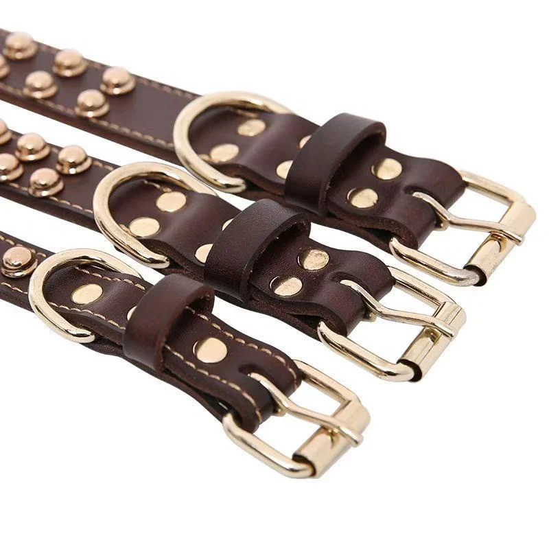 Ошейник для собак ошейники золотистый ретривер Лабрадор Аляска боевой Тедди