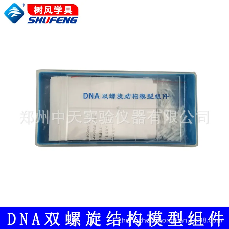 

DNA double helix structural model component Biological experimental equipment Biological teaching model teaching equipment