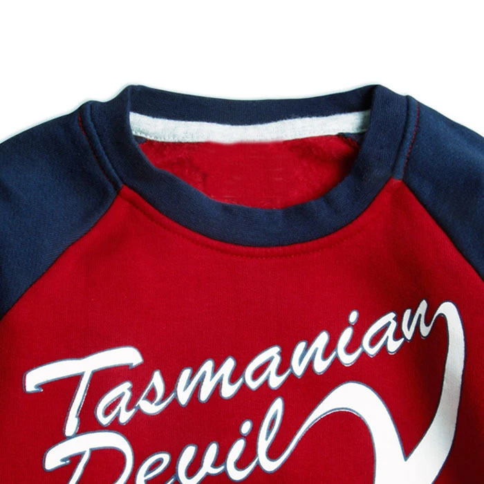 Флисовый комплект для мальчиков 24 месяца теплый Детский костюм спортивные