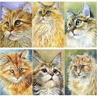 Алмазная картина 5D сделай сам, вышивка крестиком с изображением животных, милая кошка, полноразмерная вышивка, квадратный и круглый Декор для дома, ручное искусство, подарок