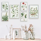 Винтажный ботанический плакат алоэ вульгарное украшение живопись растение холст картины настенные художественные наклейки иллюстрация украшение дома