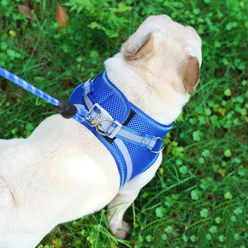 Светоотражающая шлейка для собак нагрудный ремень регулируемый поводок