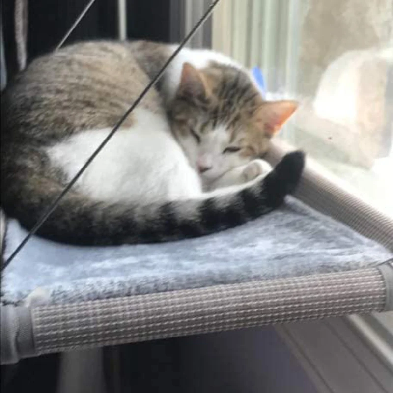 

Cat Hanging Beds Pet Hammock Bed Suction Cups Pet Resting Seat Comfortable Safety Durable Washable Cat Shelves For House Window