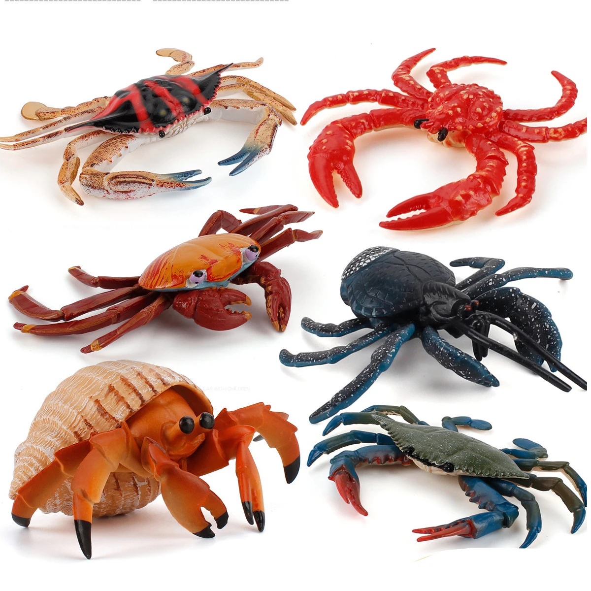 

Модель Детская «Морская жизнь» с животными, образовательные игрушки для детей, фигурки, украшения для океана, крабы, аквариумные фигурки, де...