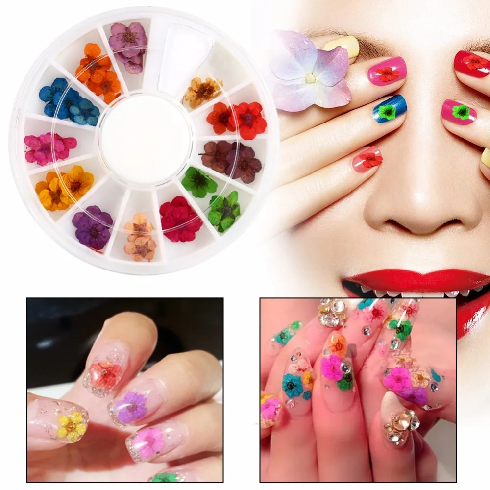 

120/360 шт. высушенные цветы для дизайна ногтей, искусственные цветы, настоящие мини натуральные цветы, 3D аппликация