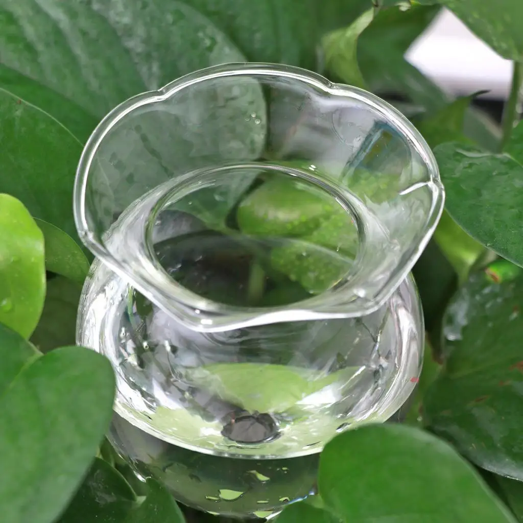 2 шт. самополивающийся шар для растений лампочка воды ручной работы прозрачный